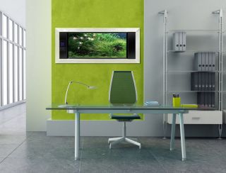 办公室墙面绿色装饰效果图片2023