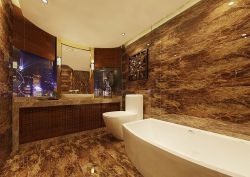 东南亚风格家居卫生间浴缸设计图