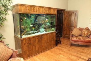 美式古典小户型室内鱼缸造景设计图欣赏