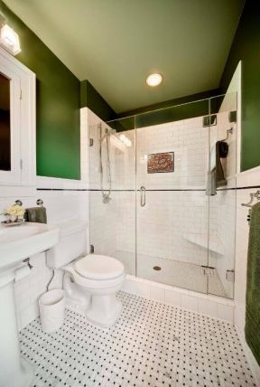 紧凑型卫生间绿色设计图片大全
