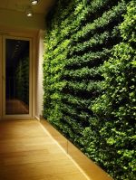 2023绿色植物墙设计图