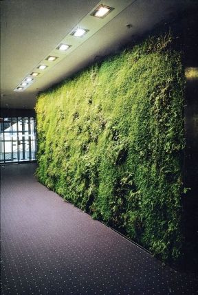 2023走廊绿色植物墙设计