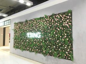 绿色植物墙设计