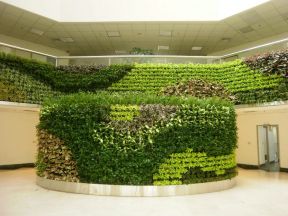 2023办公室绿色植物墙设计