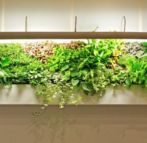 绿色植物墙设计-装信通网效果图大全