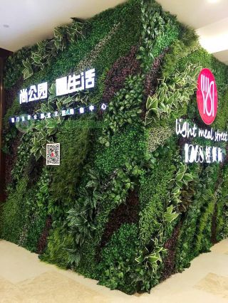 2023绿色植物墙设计