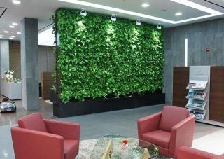 2023绿色植物墙设计效果图大全