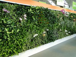 2023走廊绿色植物墙设计效果图赏析