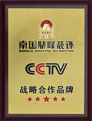 cctv战略合作品牌