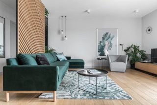 青年公寓客厅绿色沙发图片2023