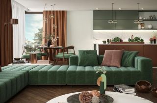 公寓式住宅绿色沙发装修设计图片大全