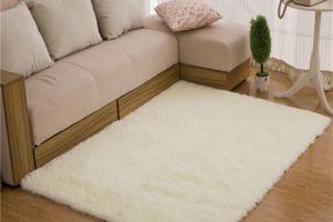 家用地毯材质有哪些 家用客厅地毯多少钱一平米