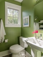 2023家居小卫生间绿色墙面装修设计图片