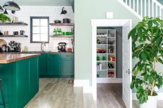 2023清新北欧风格绿色厨房设计图片