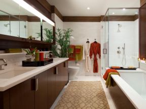国外小型别墅家装浴室淋浴房设计图片