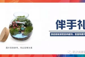 2019武汉春节别墅设计展，为别墅生活增添仪式感
