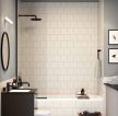 简约风格家庭卫生间浴室装修设计图一览