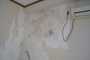 墙上发霉怎么清理干净 三招解决墙面霉菌问题