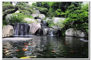 假山鱼池设计要点