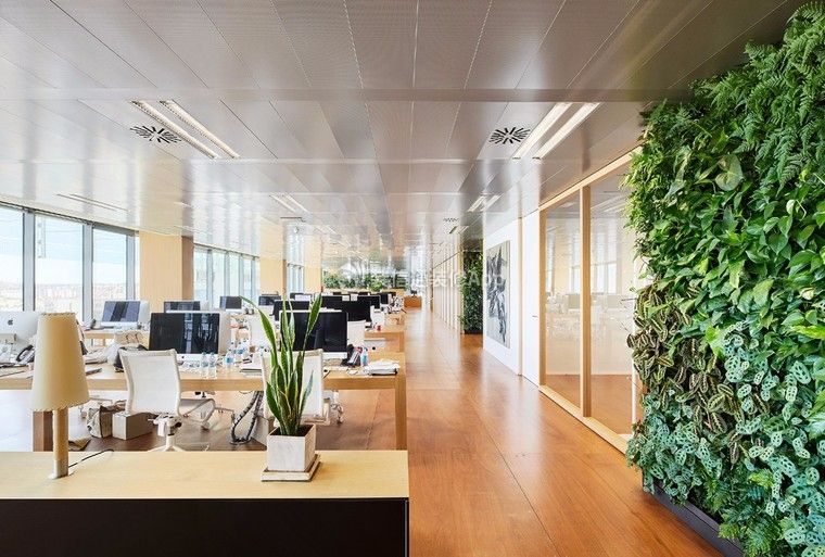 300平米中式小户型办公区装修设计效果图欣赏