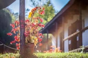 【西安峰光无限装饰】三月装修好时节 这场钜惠活动你一定不能错过