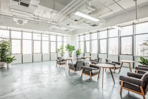【北京艺格工装】办公空间设计之如何选购 适合办公室装修布局的办公室小绿植