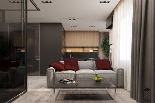 一居室现代风格58平米客厅沙发装修效果图