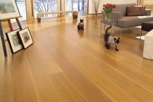 【苏州生活家装饰】实木地板和强化地板的适用性对比
