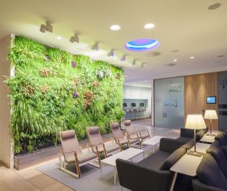 重庆酒店接待区植物墙装修设计效果图
