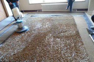 【重庆金蜜蜂装饰】地毯清洗的技巧有哪些 地毯清洗价格多少