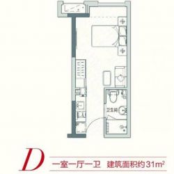 D#公寓D户型 1室1厅1卫  建筑面积：约31平米