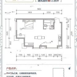 金湖盛景mini宅户型图