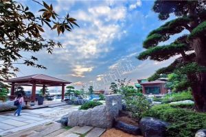 郑州庭院绿化设计公司