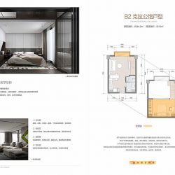 B2克拉公馆户型 1室1厅1卫 约34平米