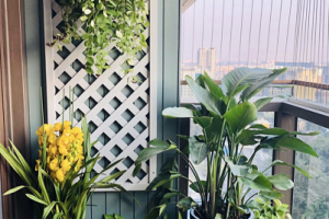 【成都尚美家装饰】如果你家有个大阳台，不妨考虑DIY个小花园，一年四季都很美