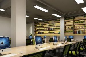 【广州金久装饰】办公室装修如何打造优质环保的办公环境？
