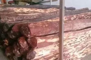 阳泉2023年最流行的这8种木头正在成红木新贵