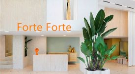 Forte Forte精品店|米兰最美的一家女装店，就是它了!
