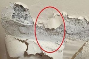 房子墙壁有裂缝怎么办