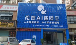 东莞市中堂镇松鼠AI教学辅导中心设计施工