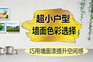 超小户型如何选择墙面油漆？6招技巧教你瞬间扩大