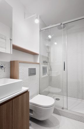 小卫生间玻璃隔断装修设计效果图片