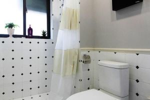 浴帘和淋浴房