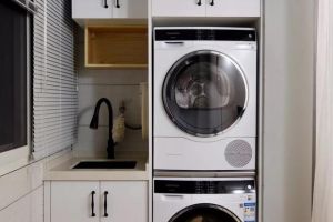 [成都标筑装饰]为什么老外喜欢用洗衣机+烘干机