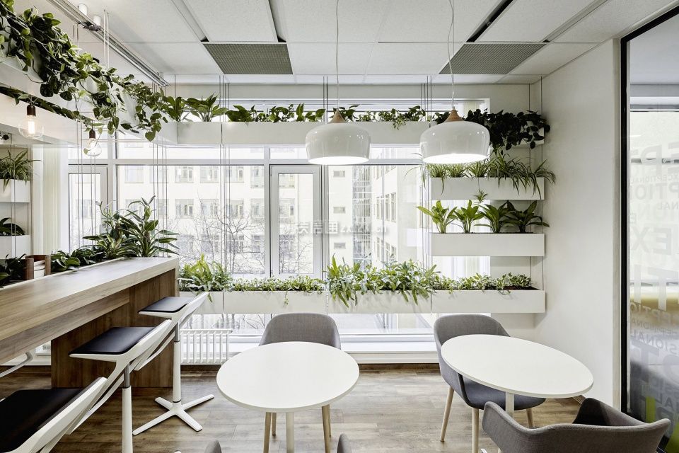 茶水间装潢效果图 茶水间效果图