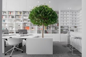 [580装饰]合肥办公室 写字楼装修，纯白极简绿植蔓延，思维绽放空间