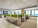 [上海海象装饰]办公室装修怎么达到绿色环保的要求呢