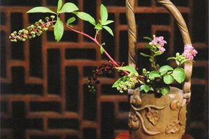 [广州加和装饰]花艺软装是诗意的栖息地，花艺软装的解读！