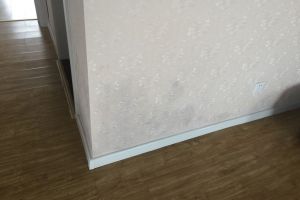 [贵阳轻舟臻品装饰]墙纸发霉怎么办?如何预防墙纸发霉?