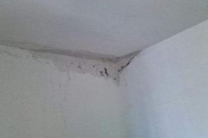 [良宅吾品装饰公司]墙面漏水的原因 墙壁漏水怎么办